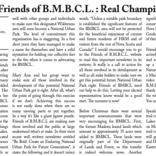 Celebrating Friends Of BMBCL – Real Champions!